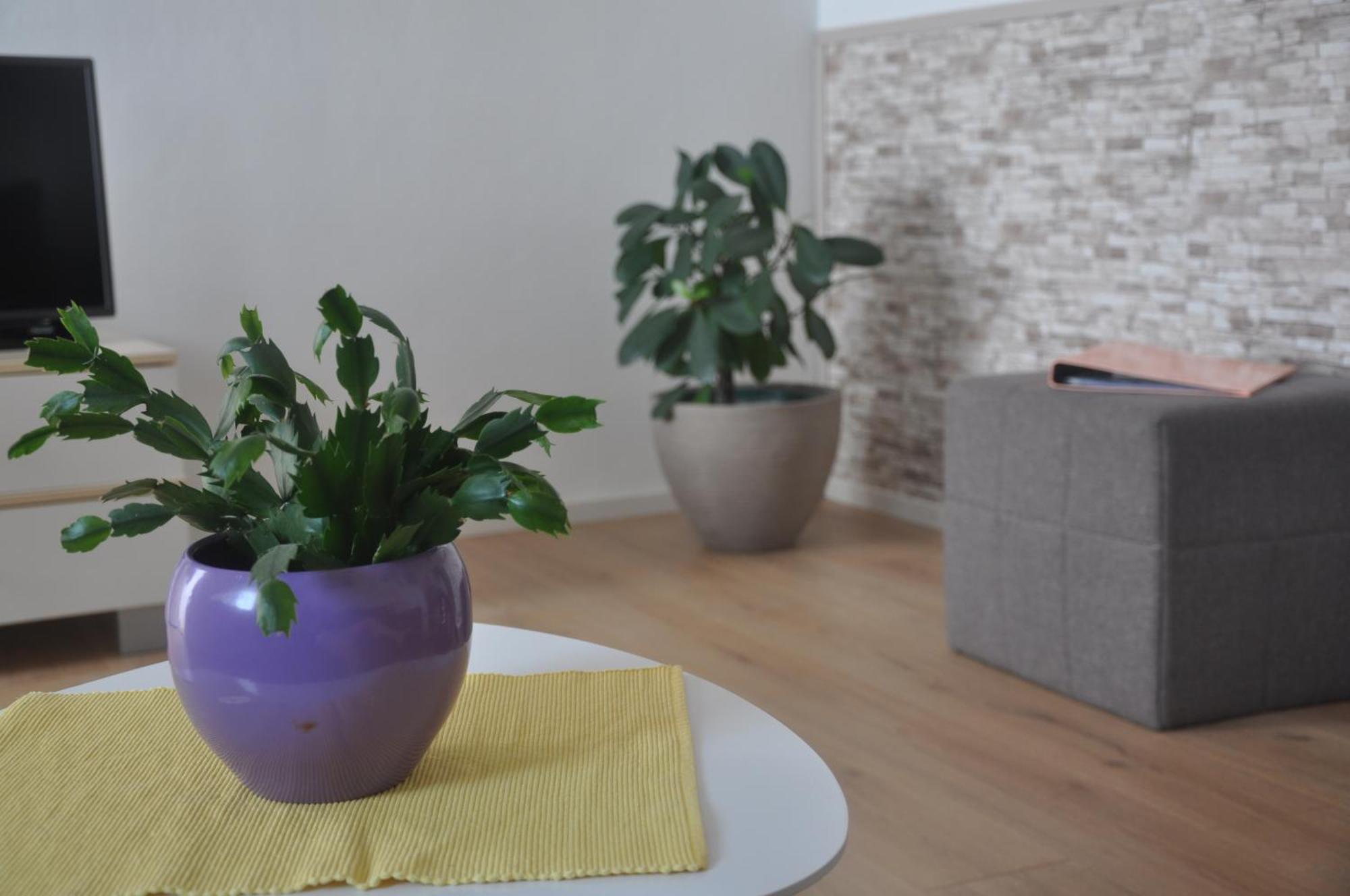 Apartman Mirna 罗维尼 外观 照片